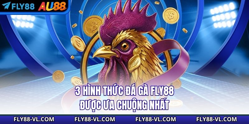 3 hình thức đá gà Fly88 được ưa chuộng nhất
