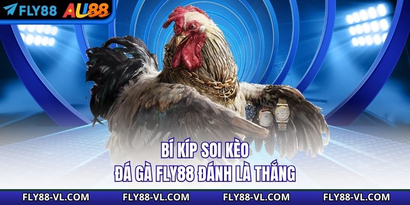 Bí kíp soi kèo đá gà Fly88 đánh là thắng